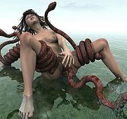 3d donna zentmayer