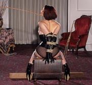 tammy nims rope pics sluts in bondage bondage porn ham