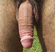 anal faith free uncut twinks fresh anal