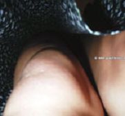 helling porn voyeur